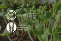 Obrázok vás presmeruje na stránku ohľadom projektu EIT Food Hub SPU v Nitre